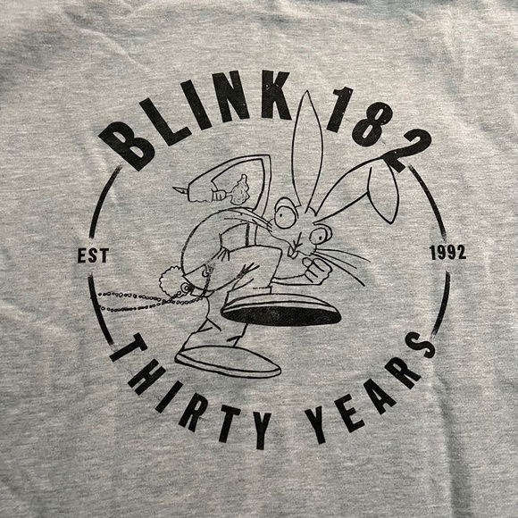 BLINK-182 2022 "Thirty Years" Bunny Grey Zip-Up 30th Anniversary Hoodie MEDIUM - Picture 10 of 11